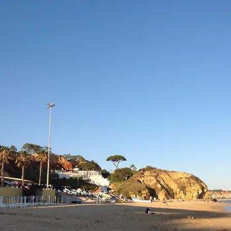 Cip T3 Galeão Albufeira